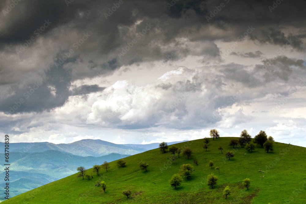 Obraz premium Hill with trees