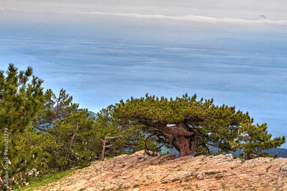 Fototapeta premium Amazing view from the mountain Ai-Petri