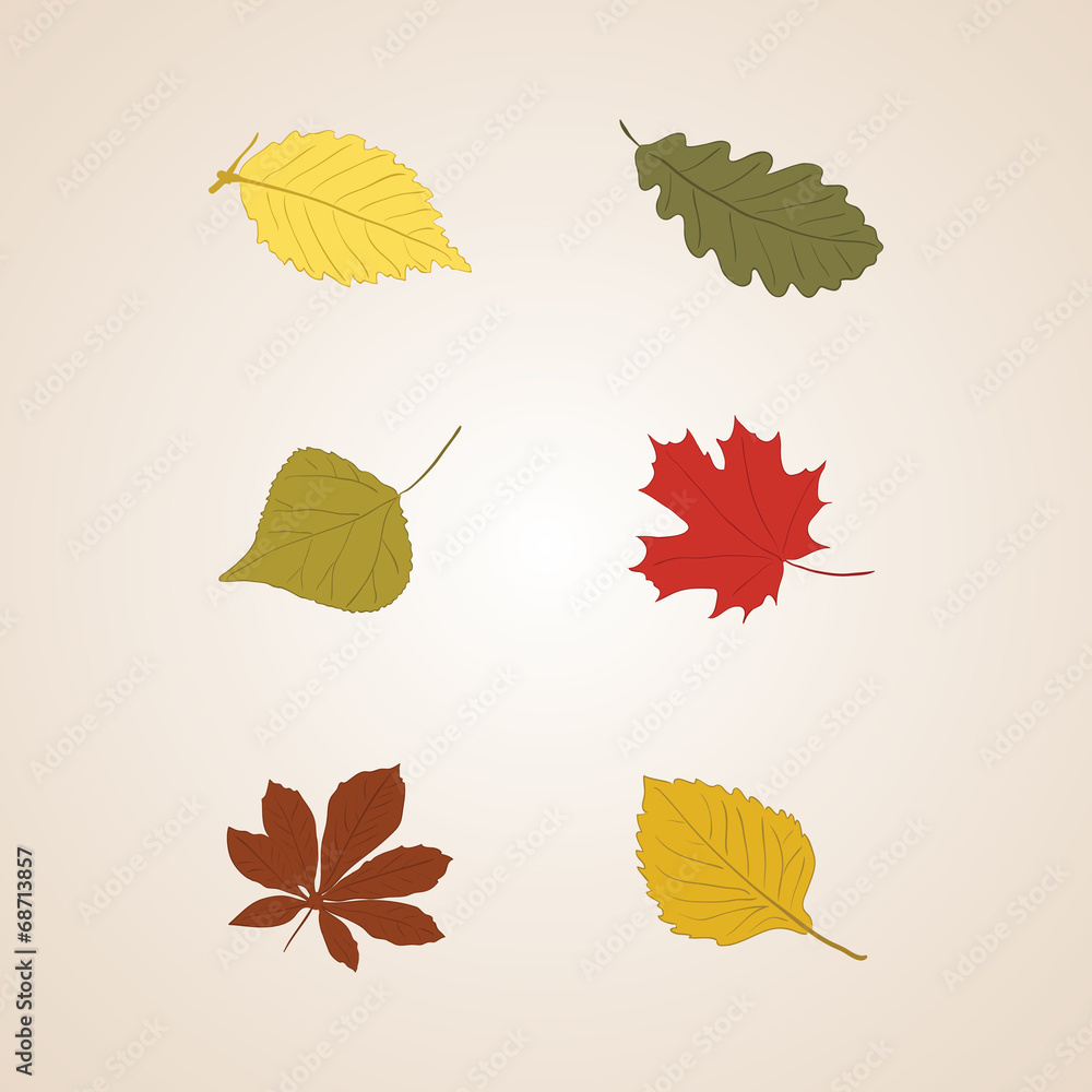 Fototapeta premium Autumn leaves set vector background