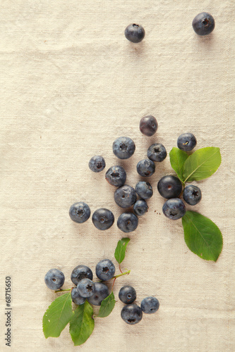Fresh Blue Berries Isolated Off White Cloth