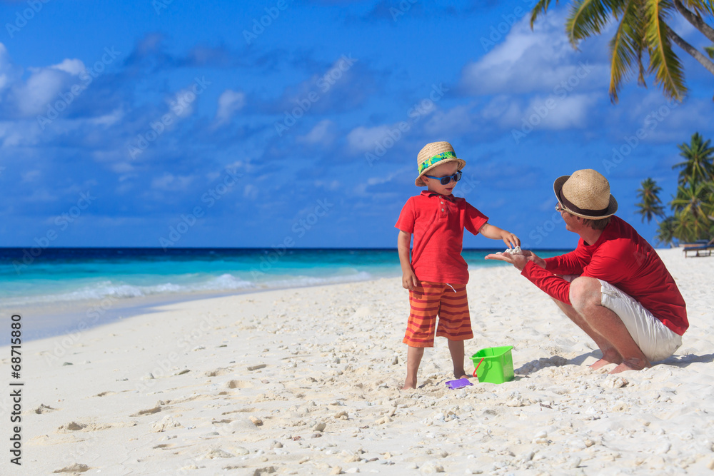 father and son collecting shells on the beach father and son collecting shells on the beach