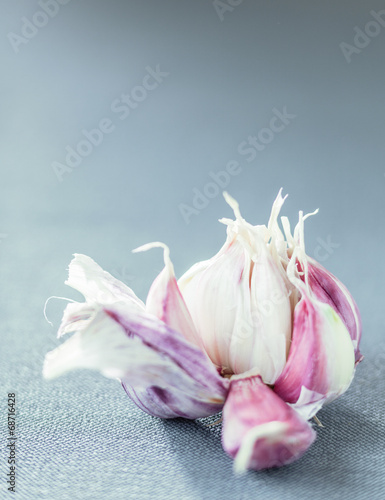 Fresh aromatic garlic cloves