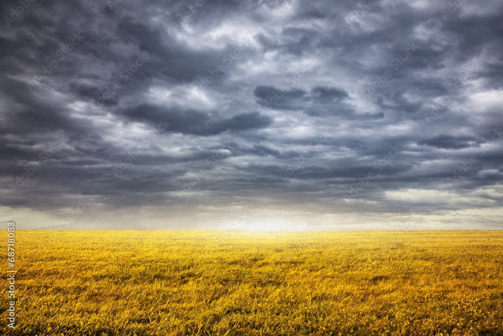 Field and overcast sky background