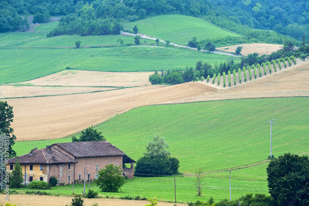 Summer landscape in Monferrato (Italy) Summer landscape in Monferrato (Italy)