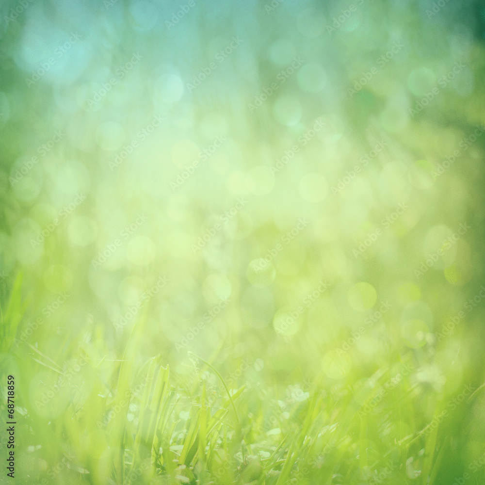 abstract green nature background with bokeh glitter lights, squa