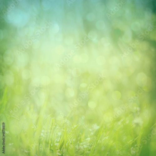 abstract green nature background with bokeh glitter lights, squa © Azahara MarcosDeLeon