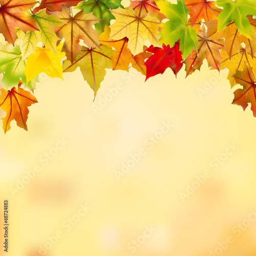 Maple autumn leaves falling down on natural background