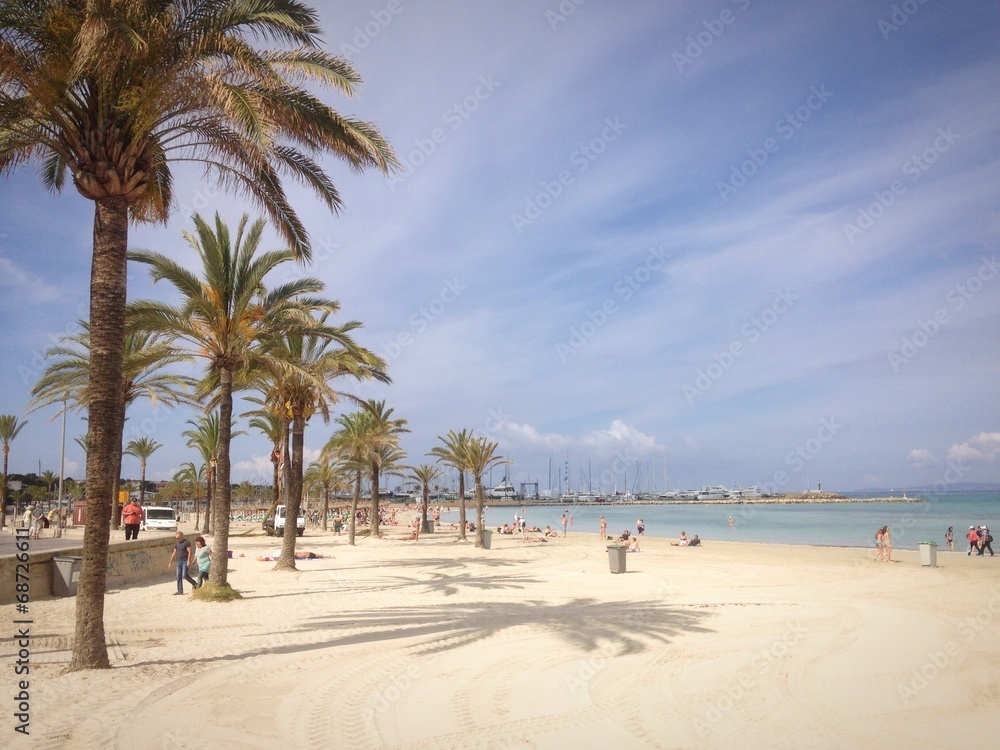 Fototapeta premium Mallorca im Frühling