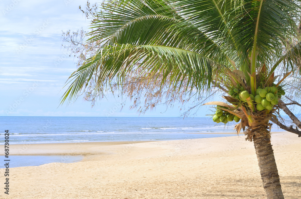 Fototapeta premium sea and beach