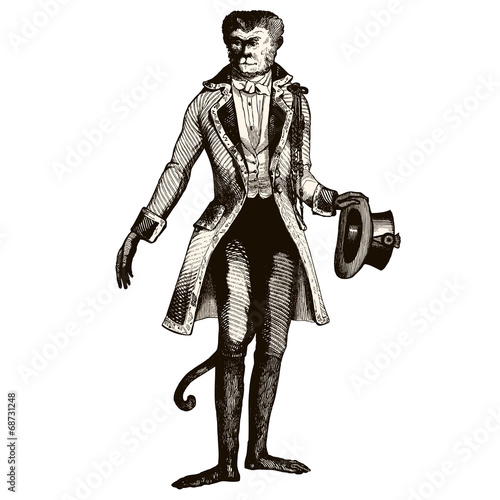 Homme singe