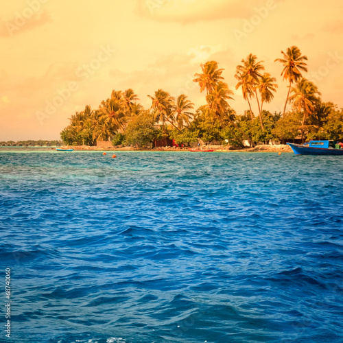 landscape of tropical island beach with palm trees