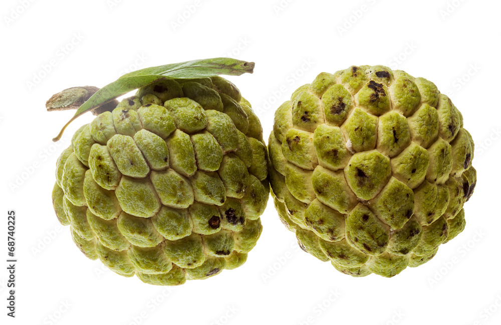 Noni fruit Noni fruit