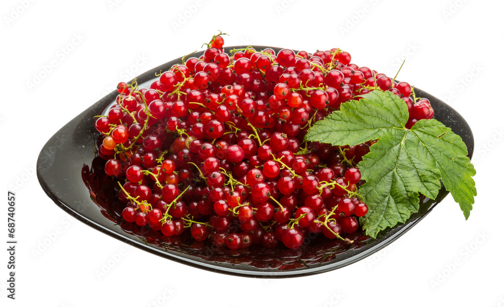 Red currant Red currant