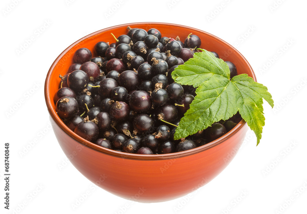 Black currant Black currant