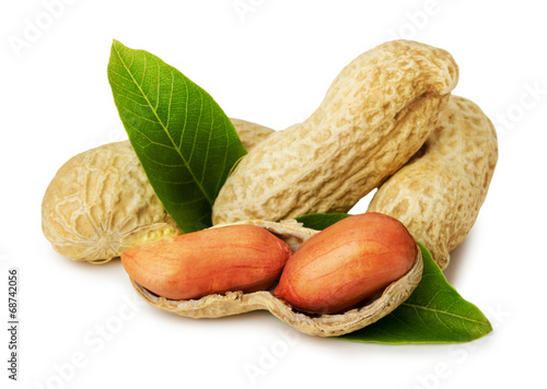 peanuts in shell isolated on the white background photo