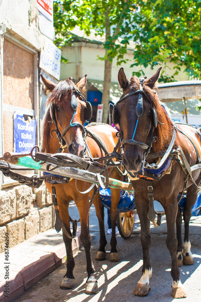Traditional carriage with horses on the island of Buyukada,
