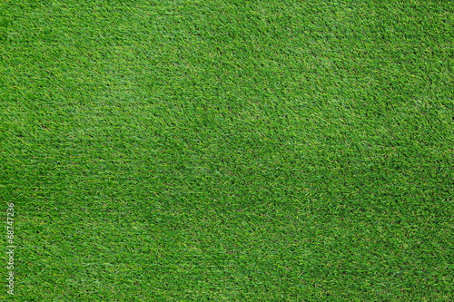 Green grass background texture
