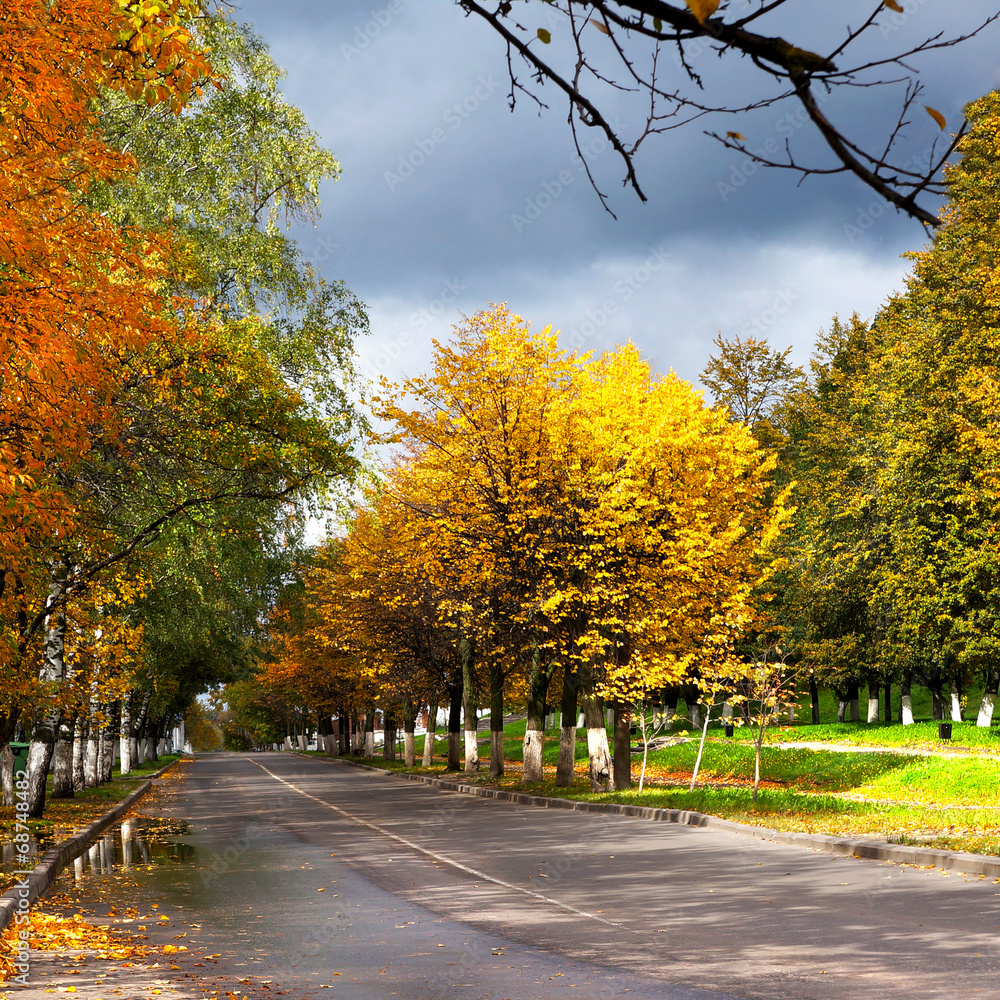 Autumnal street