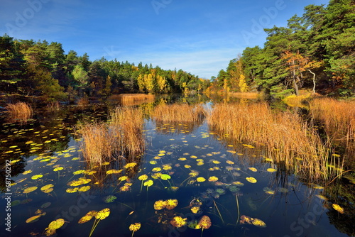 Jesień nad jeziorem, Szwecja