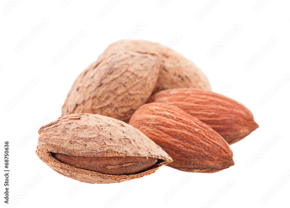 Almond nut