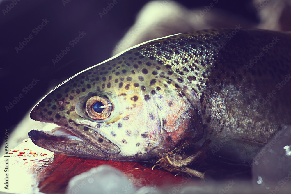 fresh trout rustic style restaurant fresh trout rustic style restaurant