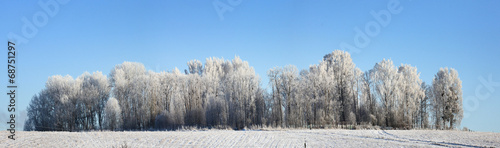 Winter in the forest © kichigin19