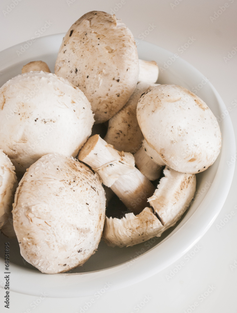 Fresh mushrooms on white background close up Fresh mushrooms on white background close up