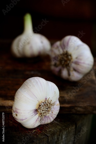 Violet  spring garlic rustic style