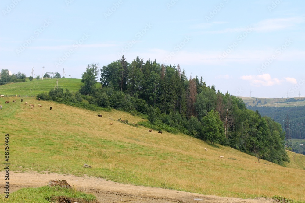 Carpathians Carpathians