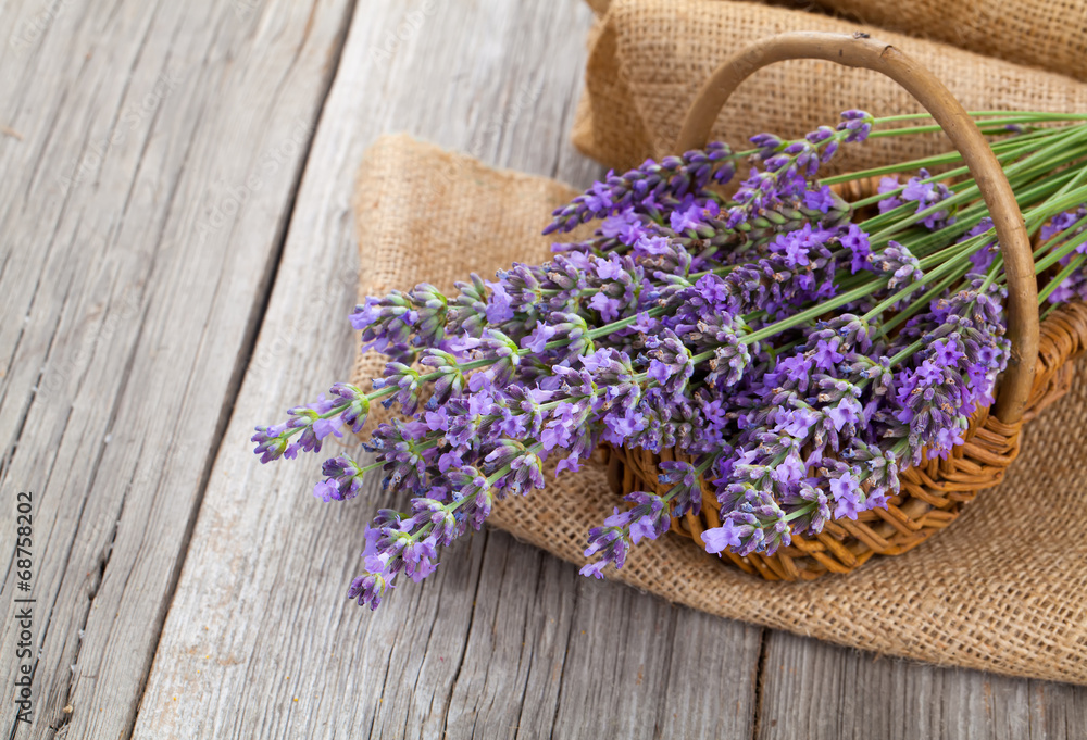 lavender flowers in a basket with burlap on the wooden backgrou lavender flowers in a basket with burlap on the wooden backgrou