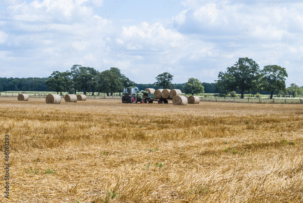 Fototapeta premium Farm Industry