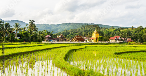 Thai temple and field