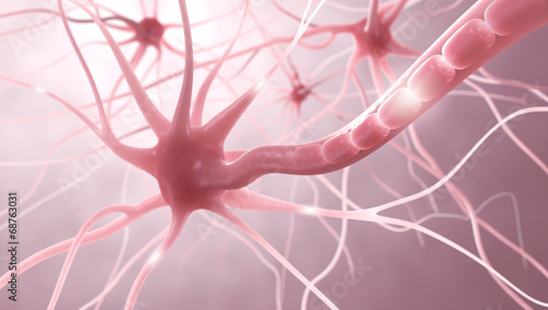 Nervenzellen  Myelinscheide  Neuronen - 3D Illustration