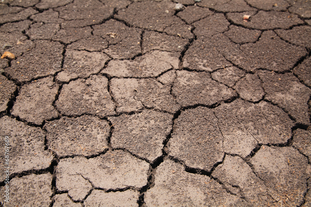 Dry cracked earth background Dry cracked earth background