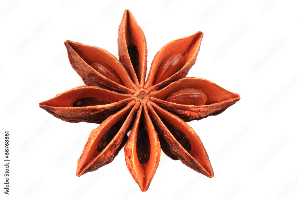 anise star (spice) isolated anise star (spice) isolated