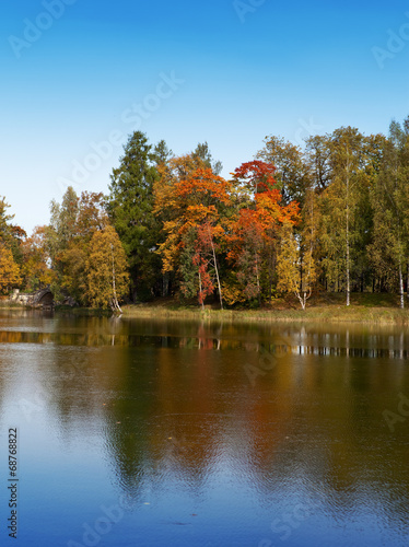 Autumn tree with bright foliage is reflected in the lake..