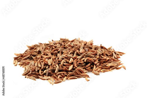 caraway spice isolated