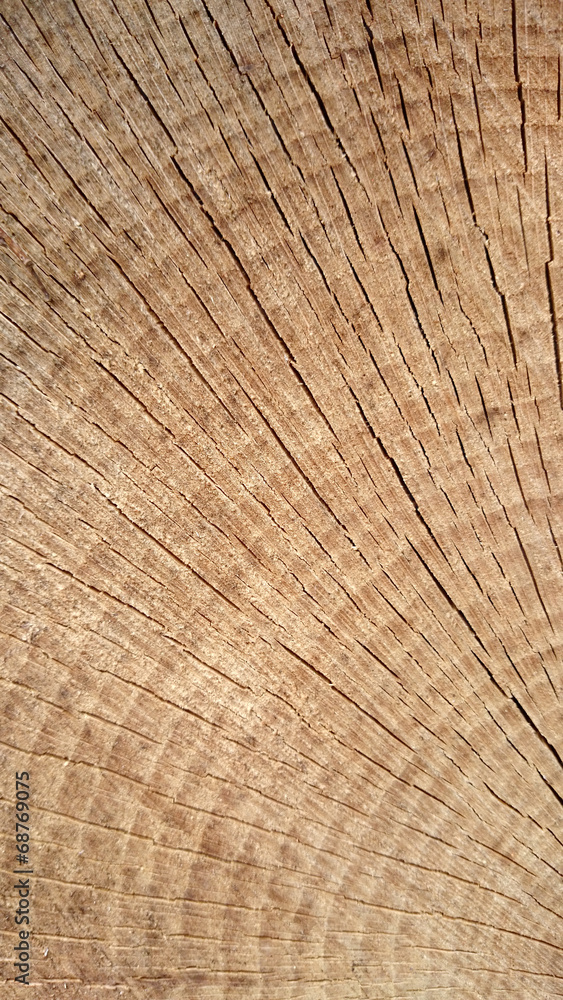 Fototapeta premium texture bois