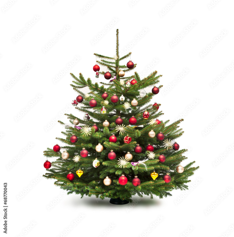 Fototapeta premium Weihnachtsbaum