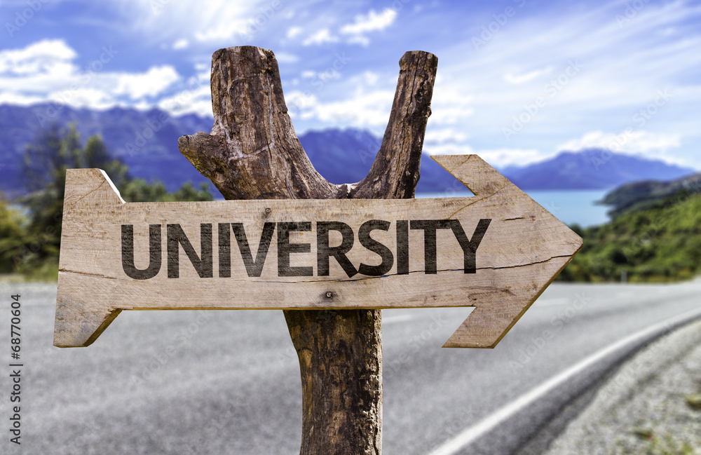 University wooden sign with a street background