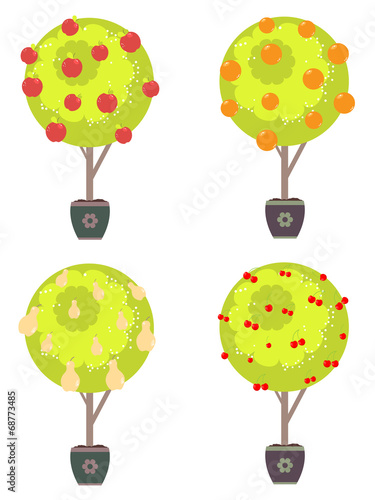 Different Fruits in a Trees