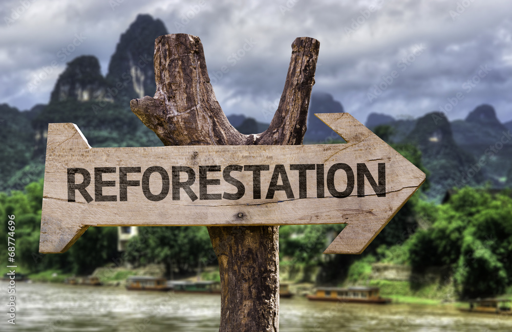 Reforestation wooden sign with a forest background