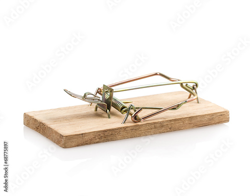 mousetrap photo