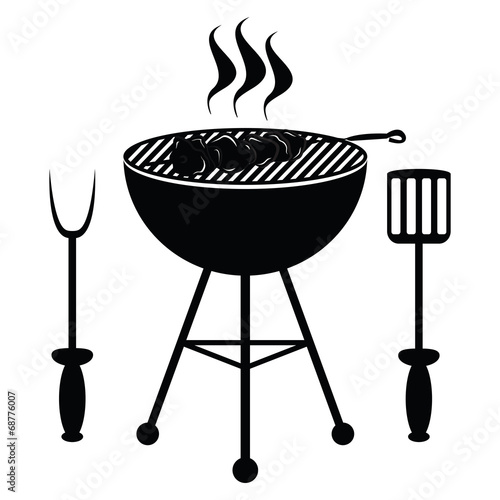 shashlik on the barbecue grill