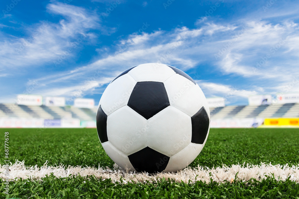 Fototapeta premium soccer ball on green grass field
