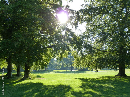 Morgenstimmung im Stadtpark