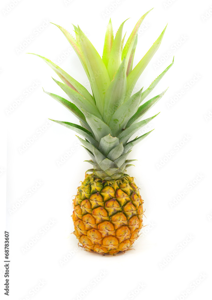Fototapeta premium pineapple