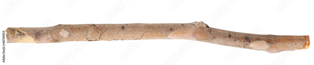 Dry tree branch isolated on white Dry tree branch isolated on white