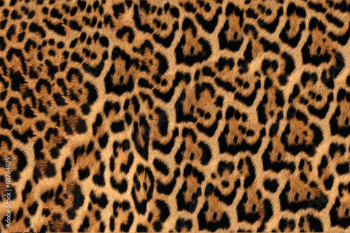 Tableau sur toile Texture de peau de Jaguar, léopard et ocelot