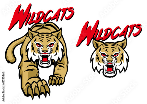 wildcats mascot photo